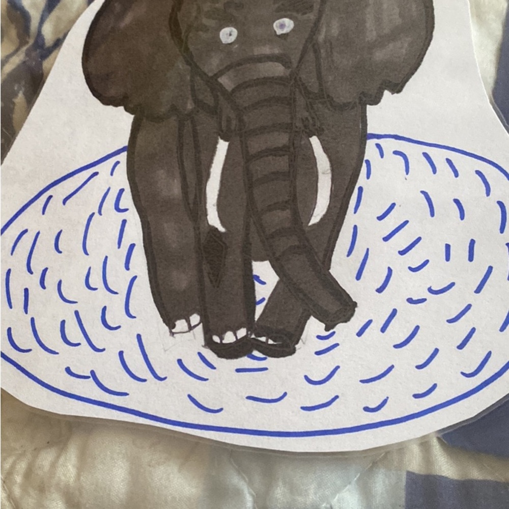 The elephant